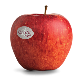 Mela Envy calibro 75/80