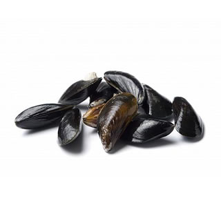 Cozze di Corda a ceppo