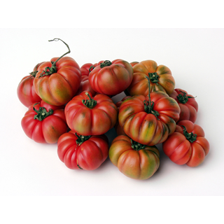 Pomodori Costoluto per insalata