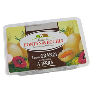 Fontanavecchia 6 Uova Fresche Grandi da Allevamento a Terra
