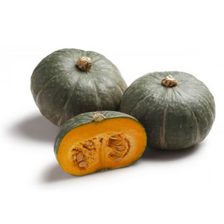 Zucca Delica