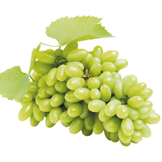 Uva Bianca Pizzutella