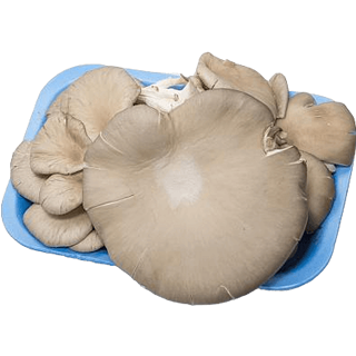 Funghi pleurotus freschi confezione da 300 g