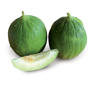 Melone Barattiere Pugliese