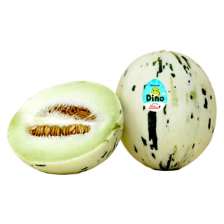 Melone Dino maculato "L'Uovo di Dinosauro"
