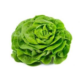 Lattuga trocadero gr 200