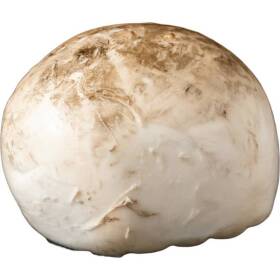 Caseificio dei borboni provola di latte di bufala 