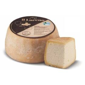 Pecorino bagnolese il laceno con latte crudo di pecora di bagnoli irpina