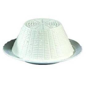 Ricotta fresca di pecora