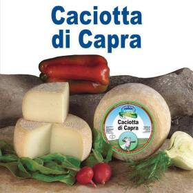 Caciotta di capra