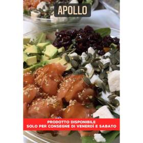 Poke' bowl special "apollo"