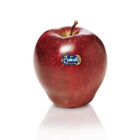 Mela Melinda Stark calibro 75/80