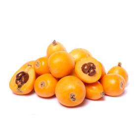 Nespole