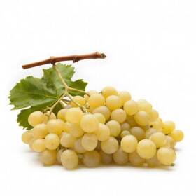Uva bianca italia