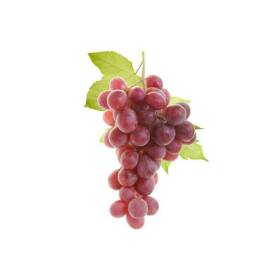 Uva rossa (red globe)
