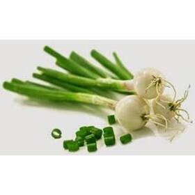 Cipolle fresche foglia