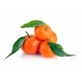 Mandarino linbo tang gold senza semi, con foglia