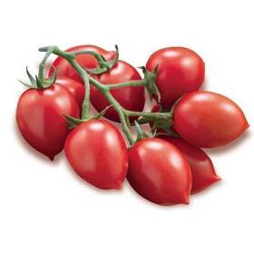 Pomodoro fiaschetto rosso