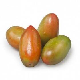 Pomodoro Oblungo Nerina