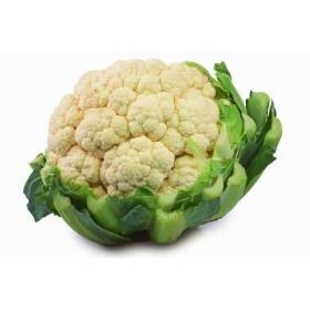 Cavolfiore Italia cima bianca