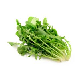 Cicoria spigata (tipo barese)