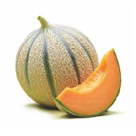 Melone cantalupo