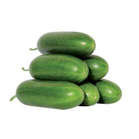 Cetriolo liscio barese