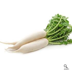 Daikon - radice bianca
