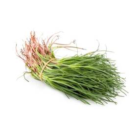Agretti - barba di frate