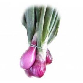 Cipolle rosse fresche