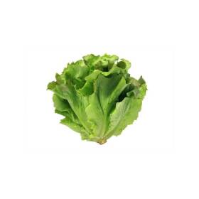 Insalata canasta