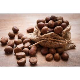 Castagne calibro 65/70