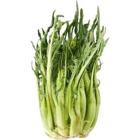 Puntarelle di cicoria