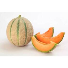 Melone Cantalupo import