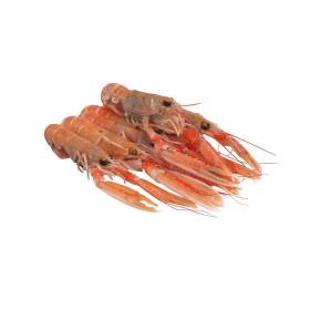 Scampi decongelati