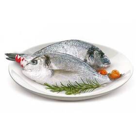 Orata 300/400 allevato grecia