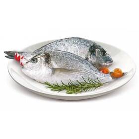 Orata 400/600 allevato grecia