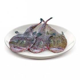 Pescatrice da 1-2kg estero