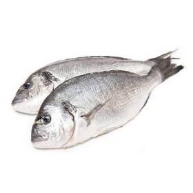 Orate 400/600gr allevamento orbetello