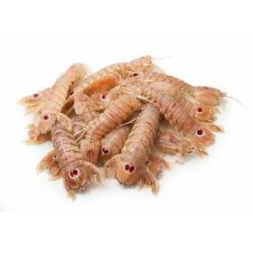 Pannocchia o canocchia