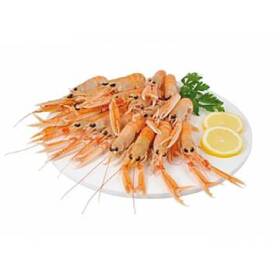 Scampi piccoli decongelati