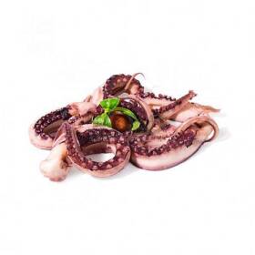 Tentacoli totano giganti decongelati
