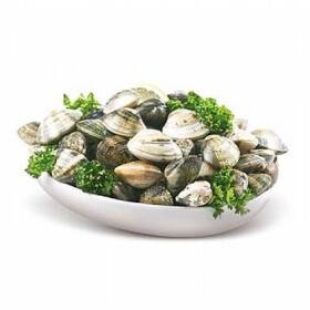 Vongole veraci fresche
