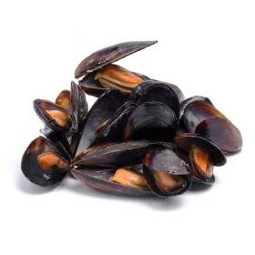 Cozze italia bacoli