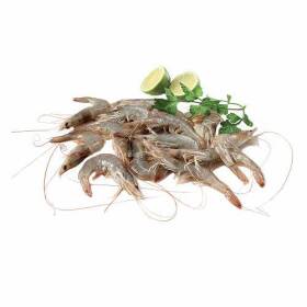 Mazzancolle tropicali decongelate