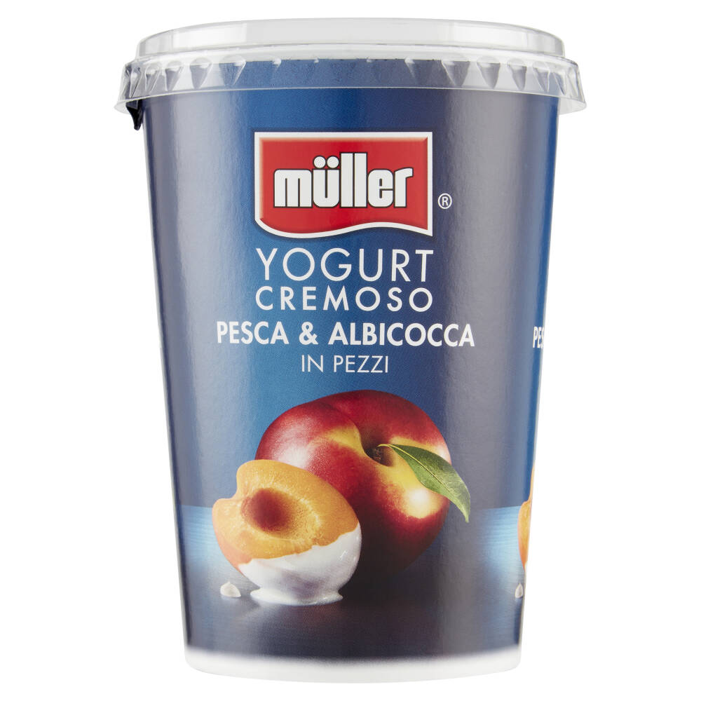 müller Yogurt Cremoso Mirtillo in Pezzi 2 x 125 g