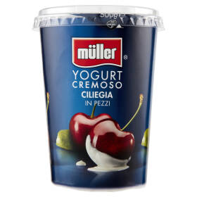 Müller Yogurt Cremoso Cocco in Pezzi, 2 x 125g : : Alimentari e  cura della casa