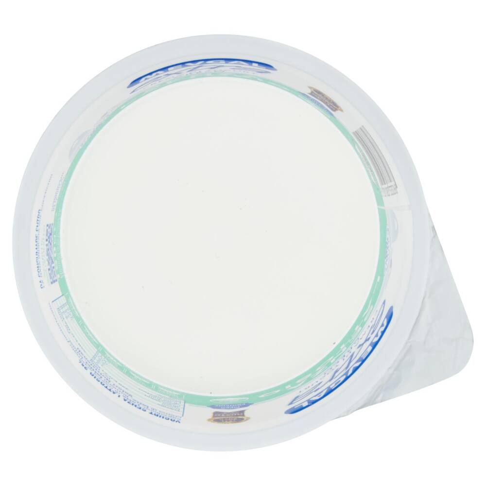Mevgal extra Crema di Yogurt Greco Senza Lattosio 2 Grassi 150 g