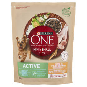 PURINA ONE Mini/Small Active Pollo con Riso 800 g
