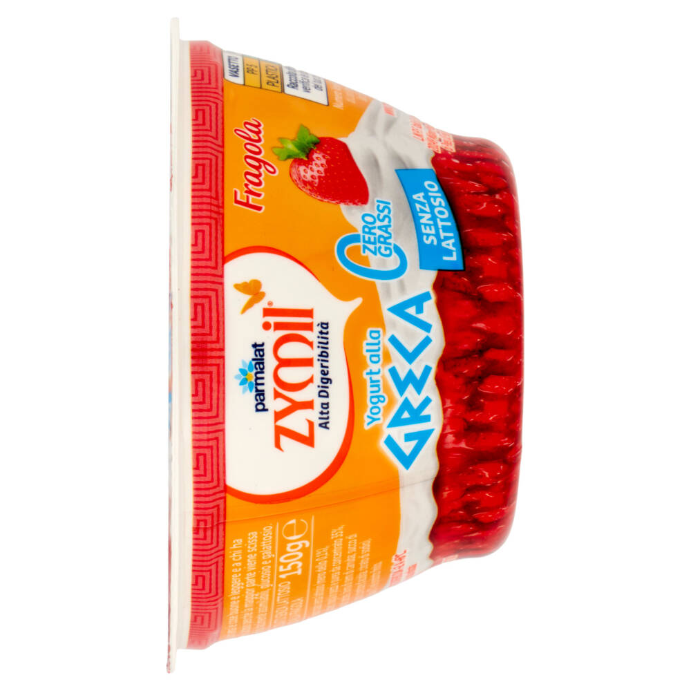 ZYMIL Alta Digeribilità Senza Lattosio Yogurt alla Greca Zero Grassi ...